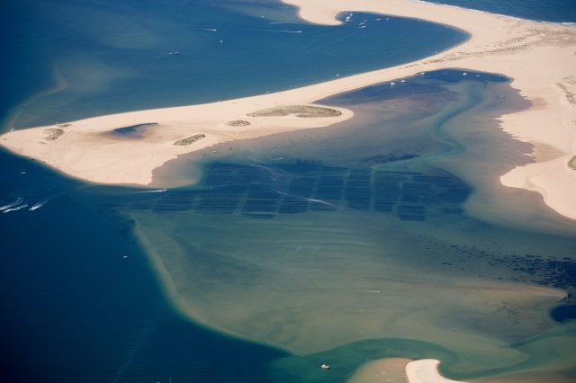 Bassin-Arcachon-08-25