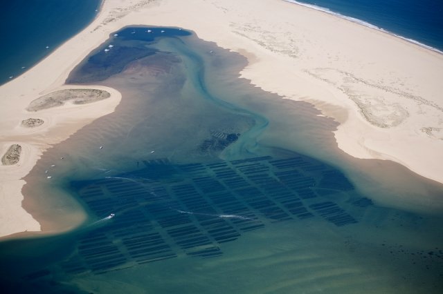 Bassin-Arcachon-08-28