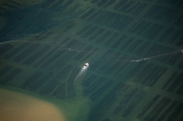 Bassin-Arcachon-08-30