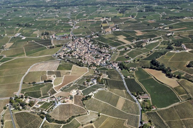 saint-emilion-API_1278