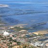 bassin-arcachon-2009-3735