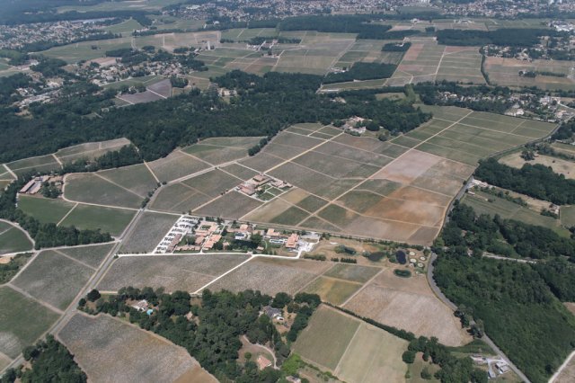 06-15 Le Château Smith Haut Lafitte et les Sources de Caudalies